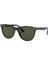 0RB2185 902/31 55 Unisex Güneş Gözlüğü 1