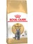 British Shorthair Adult Yetişkin Kedi Maması 400 gr 1