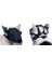 Kedi Ağızlığı Nalyon 1