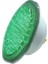 32 Watt Yeşil Smd LED Havuz Ampulu / Par 56 1