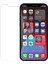 Apple iPhone 12 Pro Max 6.7" Nano Ekran Koruyucu Cam Micro Glass 1