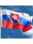 Slovakya Gönder Bayrağı Raşel Kumaş 70 x 105 cm 1