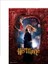 Wizarding World Poster - Hogwarts Karakter Hermione B. 1