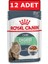 Digest Sensitive Gravy Adult 85 gr x 12 Adet Yaş Kedi Maması Pounç 1
