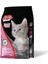 Cat Food Energy® Tavuklu Yavru Kedi Maması - 1 kg 1