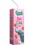 Çilek Aromalı Süt 200 ml 1