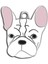 French Bulldog Köpek Künyesi 1