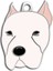 Dogo Argentino Köpek Künyesi 1