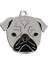Pug Köpek Künyesi 1