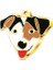 Altın Kaplama Jack Russell Köpek Künyesi 1