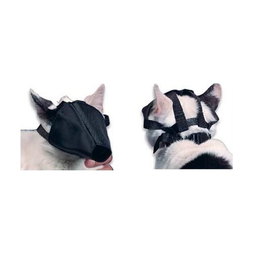 Buster Kedi Agizligi Nalyon Fiyati Taksit Secenekleri