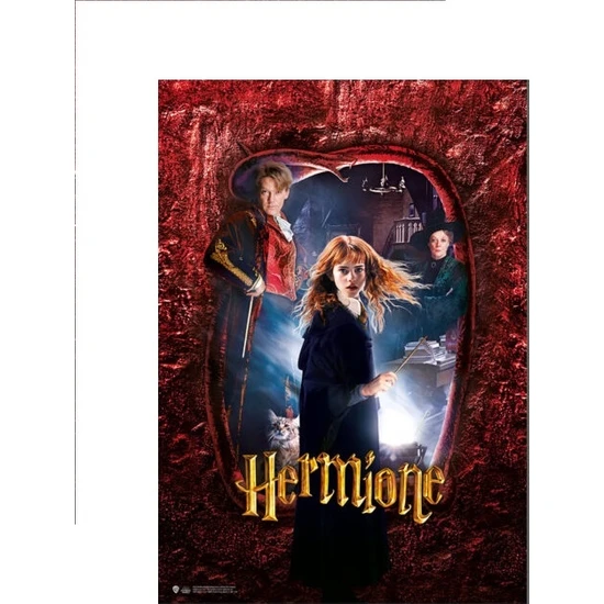 Sihir Dükkanı Wizarding World Poster - Hogwarts Karakter Hermione B.