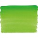  Renk May Green