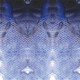  Renk Deep Sea Violet