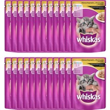 Whiskas Junior Kümes Hayvanlı Yaş Kedi Maması 100 gr x 24 Adet