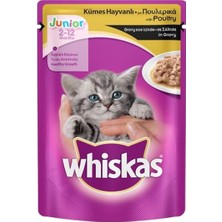 Whiskas Junior Kümes Hayvanlı Yaş Kedi Maması 100 gr x 24 Adet