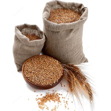 Mutlu Tavukçuluk Buğday 20 Kğ Yem Güvercin Yemi Tavuk Posta Civciv Ördek Kuş Yumurtacı Ataks Hint Horoz Lokman Brahma