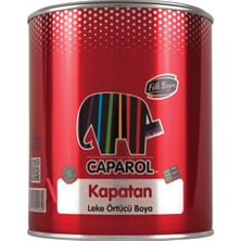 Filli Boya Kapatan 0.75 Litre