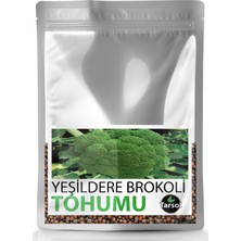 Yeşildere Brokoli Tohumu Yüksek Verim 30 'lu