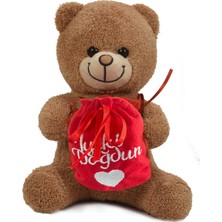 Sole Çikolatalı İyi Ki Doğdun Temalı Peluş Boz Ayıcık 30 cm