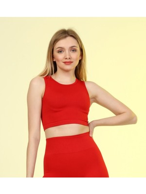 Formactive Fitilli Crop Top
