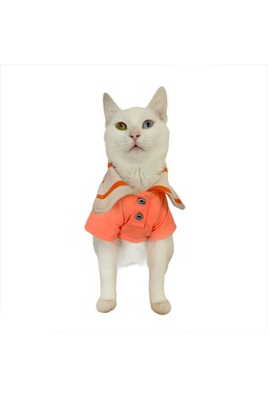 Kedi Giyim Urunleri Ve Cesitleri Burada Hepsiburada