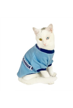 Kedi Giyim Urunleri Ve Cesitleri Burada Hepsiburada