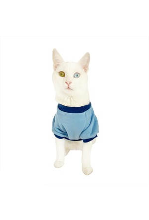 Kedi Giyim Urunleri Ve Cesitleri Burada Hepsiburada