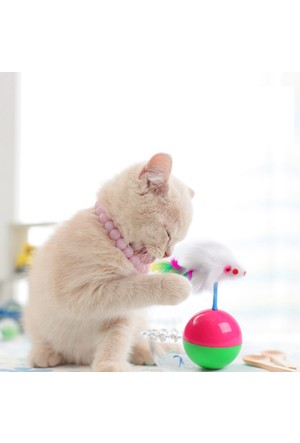 Buffer Kedi Oyuncaklari Ve Malzemeleri Hepsiburada Com