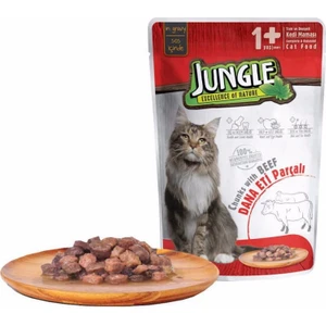Pouch Kedi Biftekli Jelli Yaş Mama 100GR