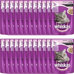 Adult Somonlu Yaş Kedi Maması 100 gr x 24 Adet