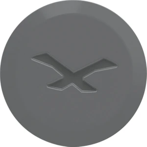 Sx.10 Yan Kapak Vidası