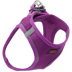 Airmesh Mor Göğüs Tasması Large