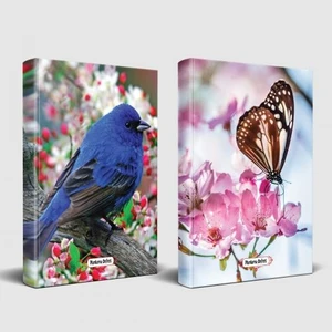 Halk Kitabevi Sevimli Hayvanlar Defter Kuş Bakışı ve Kelebek Etkisi