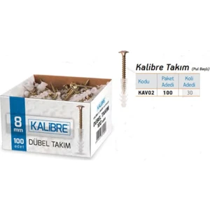 Kalibre Dübel Pul Başlı Vidalı 100 Adet