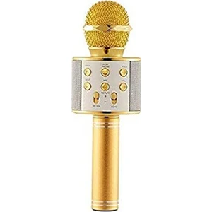 Polygold PG-116 WS858 Karaoke Mikrofon ve Bluetooth Speaker