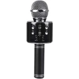 Polygold PG-116 WS858 Karaoke Mikrofon ve Bluetooth Speaker