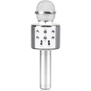Polygold PG-116 WS858 Karaoke Mikrofon ve Bluetooh Speaker