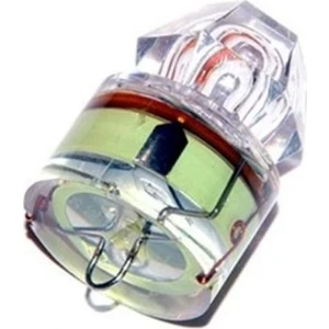 Sea Horse Derin Su Işığı Elmas