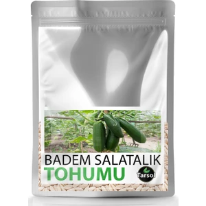Badem Salatalık Tohumu Yüksek Verim 30 'lu