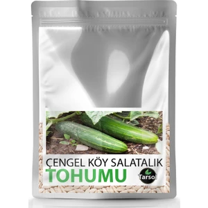Çengel Köy Salatalık Tohumu Yüksek Verim 30 'lu
