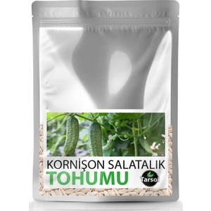 Kornişon Salatalık Tohumu Yüksek Verim 30 'lu