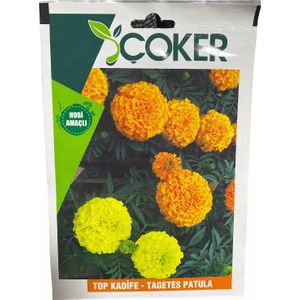 Top Kadife Çiçeği Tohumu