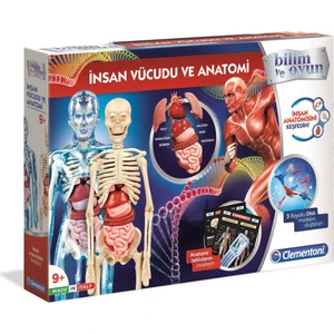 Eğitici Oyuncak Insan Vucudu ve Anatomı