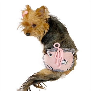 Kemique Flying Penguin Kemique S Secret Kopek Ic Camasiri Fiyati