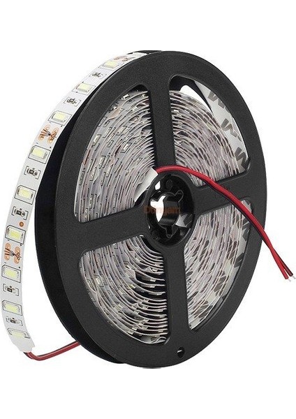 10 Çip Şerit LED Iç Mekan (Beyaz)