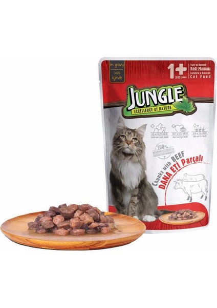 Pouch Kedi Biftekli Jelli Yaş Mama 100GR