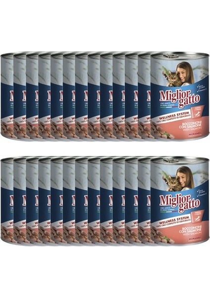 Gatto Somonlu Konserve Kedi Maması 405 gr x 24 Adet