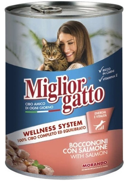 Gatto Somonlu Konserve Kedi Maması 405 gr x 24 Adet fiyatları