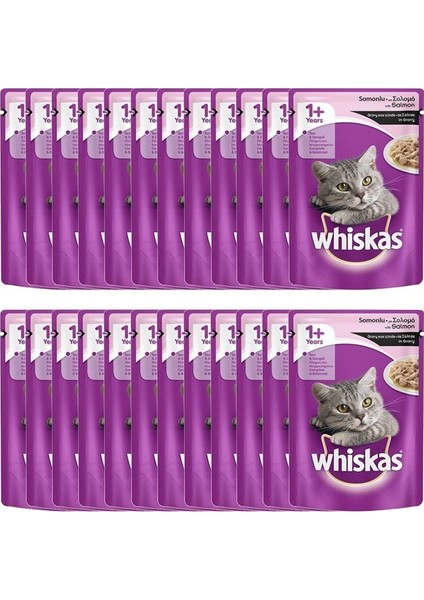 Adult Somonlu Yaş Kedi Maması 100 gr x 24 Adet